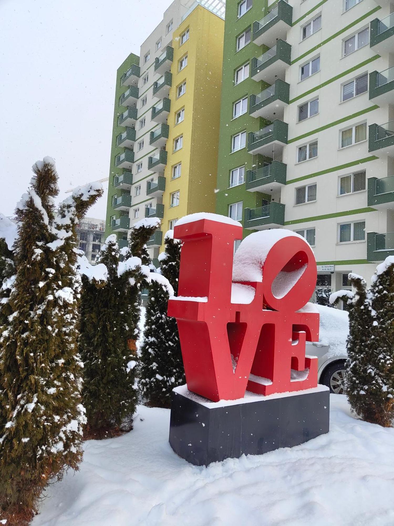 Apartament Coshome - Mountain View