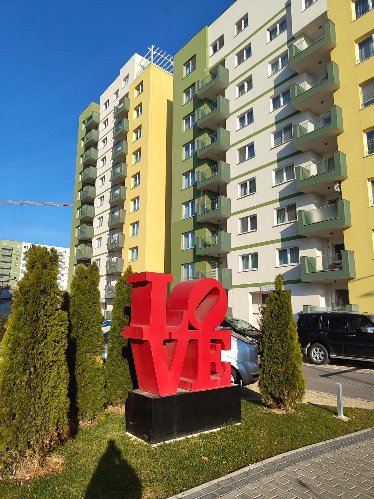 Apartament Coshome - Mountain View Brașov